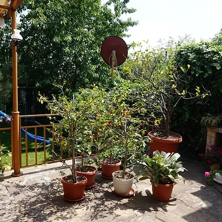 Margarita Hotel Varna