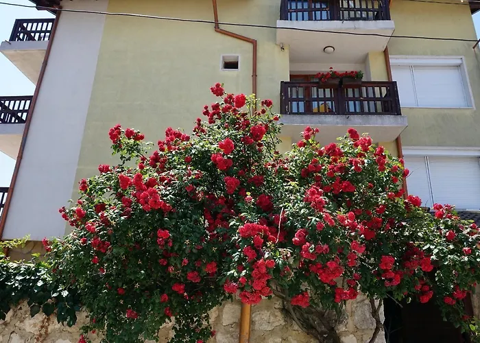 玛格丽塔酒店 2*